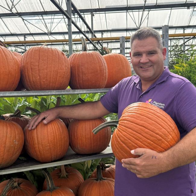 Halloween pompoen